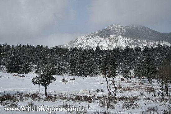 Click Picture to send as an  E-PostCard 58k 550x367